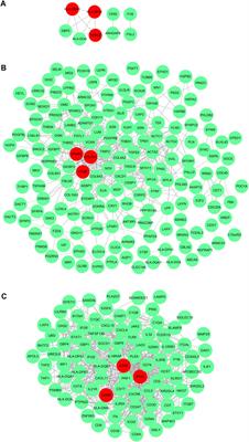 Unsupervised Hierarchical Clustering Identifies Immune Gene Subtypes in Gastric Cancer